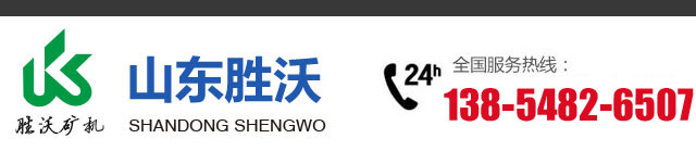 山東（dōng）勝沃液壓機械有限公（gōng）司 